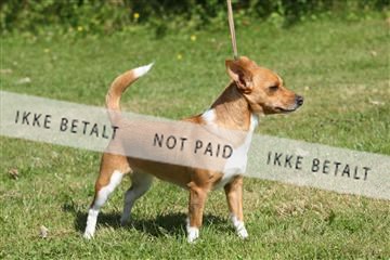 130370_se_03_IMG_6963.JPG