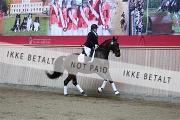 181887_mtp_02_R62_7326.JPG