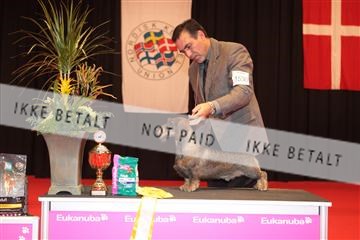 126827_tl_04_IMG_0159.JPG