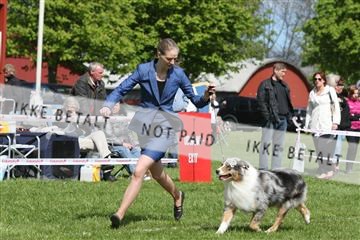 134871_ms_04_IMG_0308.JPG