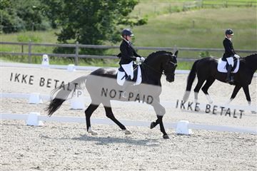 172030_mtp_01_3M5A2412.JPG
