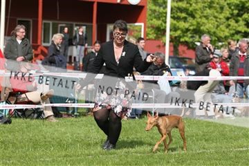 134871_ms_04_IMG_0766.JPG