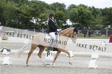 166078_rhj_01__J7R3046.JPG