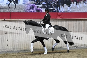 182241_kbb_01_Z094746.JPG
