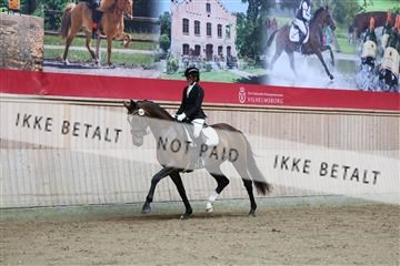 181887_mtp_02_R62_7560.JPG