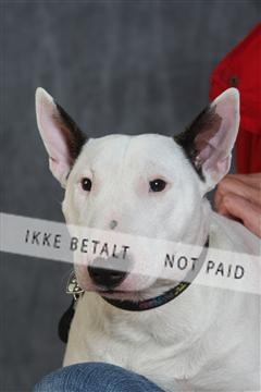 130054_le_ 03_0325.JPG