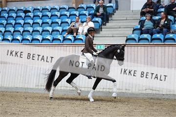 181887_mtp_04_R62_8646.JPG