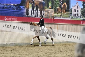 182241_kbb_01_Z093775.JPG
