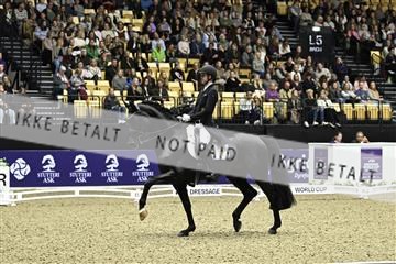 182194_kbb_03_Z092088.JPG