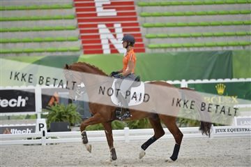 144462_bc_06__BC11308.JPG