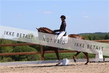 181449_bc_01R62_5588.JPG
