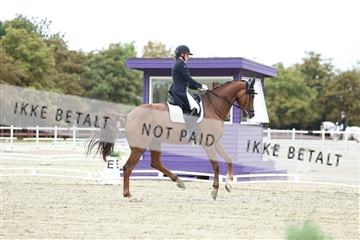 181923_mtp_04_R62_8363.JPG