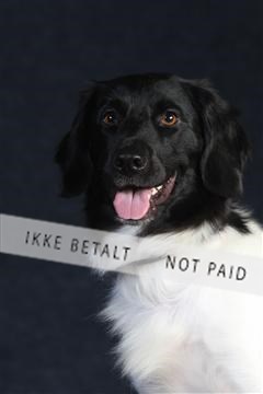 132082_le_ 01_IMG_0553.JPG