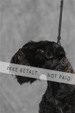 130054_le_ 03_0263.JPG