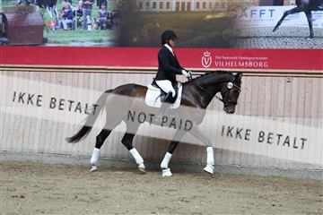 181887_mtp_02_R62_7567.JPG