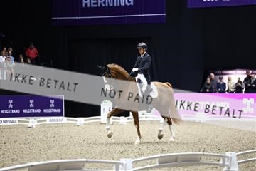 182194_avh_07_3746.JPG