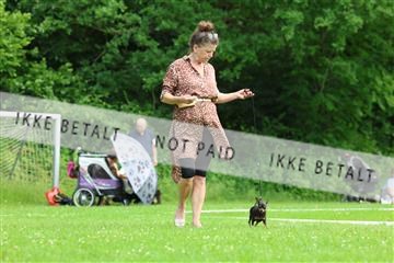 181564_rin_02_R62_1608.JPG