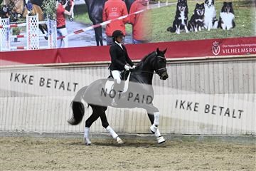 182241_kbb_01_Z093144.JPG