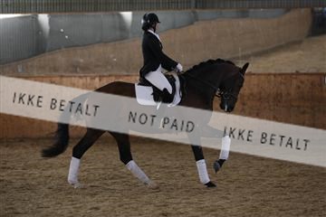 139206_kl_1_8M1Q5450.JPG