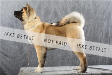 129608_le_ 01_0695.JPG