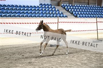 181754_kbb_01_Z092636.JPG