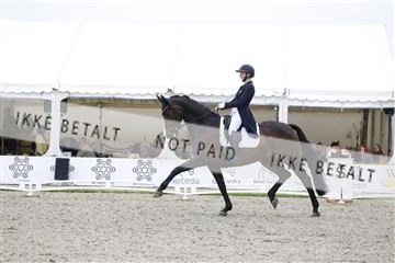 181449_jss_02__6II3940.JPG