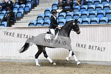 182241_kbb_01_Z094563.JPG