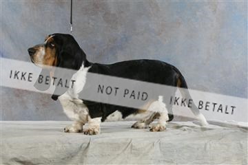 5493_sme _03__MG_9803.JPG