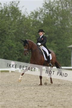 139835_sg_02_IMG_8987.JPG