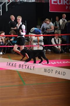 6068_ma_07_IMG_6908.JPG