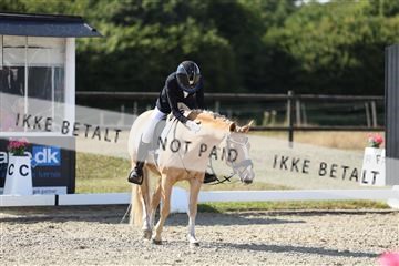 181894_mtp_05_R62_4819.JPG