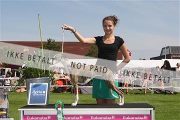130370_se_02_IMG_6225.JPG