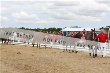 125406_sc_02_IMG_0426.jpg