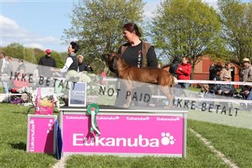 134871_ms_01_IMG_3935.JPG