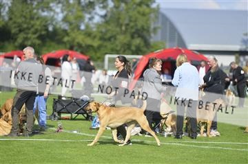 172846_bkn_01__D046231.JPG