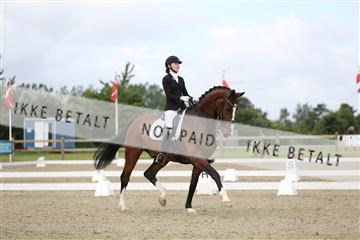 156196_nn_01_IMG_5549.JPG
