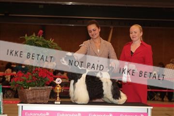 124188 _tl_02_IMG_9214.JPG