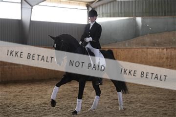 139206_kl_1_8M1Q5323.JPG