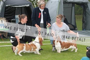 135379_tl_02_IMG_9309.JPG