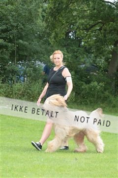 130370_tl_01_IMG_7047.JPG