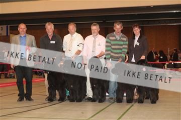 124188 _tl_02_IMG_9587.JPG