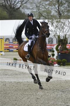139644_abo_03__AB15175.JPG