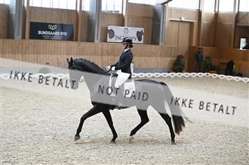 182176_kbb_01_Z093477.JPG