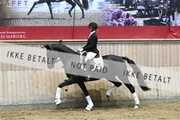 182241_kbb_01_Z093056.JPG