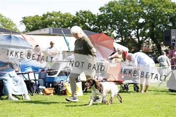 181564_kar_01__62_7992.JPG