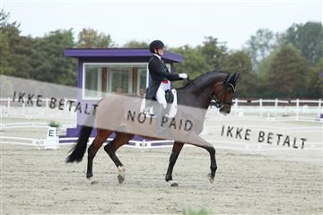 181923_mtp_03_R62_7714.JPG