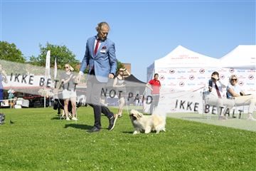 181564_kar_01__62_8236.JPG