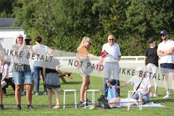 163526_mlm_02_IMG_3163.JPG