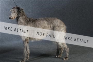 132082_le_ 01_IMG_0847.JPG