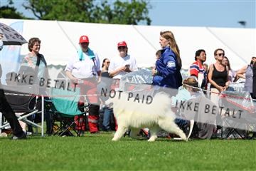 181564_rin_02_R62_3704.JPG